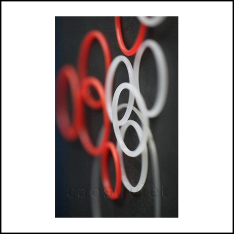 Rubber o-ring seals | Rubber o ring - Rubber Sealing